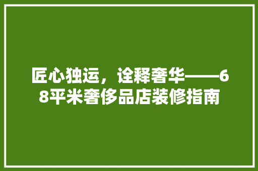匠心独运，诠释奢华——68平米奢侈品店装修指南