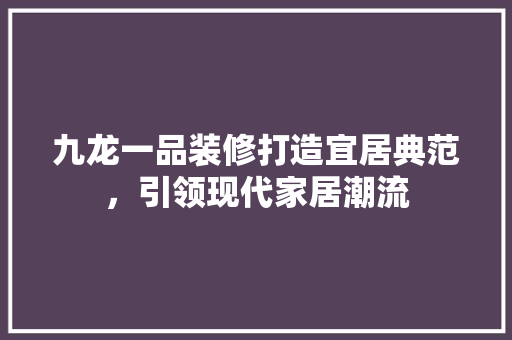 九龙一品装修打造宜居典范，引领现代家居潮流